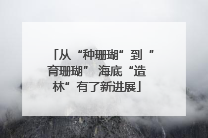 从“种珊瑚”到“育珊瑚” 海底“造林”有了新进展