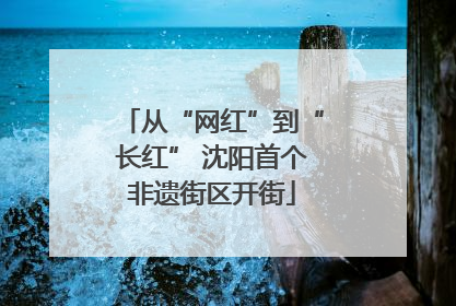从“网红”到“长红” 沈阳首个非遗街区开街