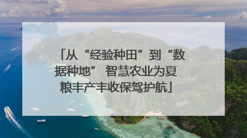 从“经验种田”到“数据种地” 智慧农业为夏粮丰产丰收保驾护航