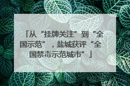 从“挂牌关注”到“全国示范”，盐城获评“全国禁毒示范城市”