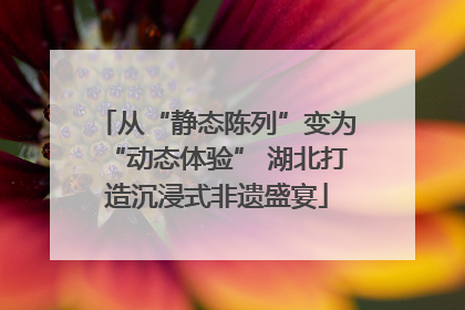 从“静态陈列”变为“动态体验” 湖北打造沉浸式非遗盛宴