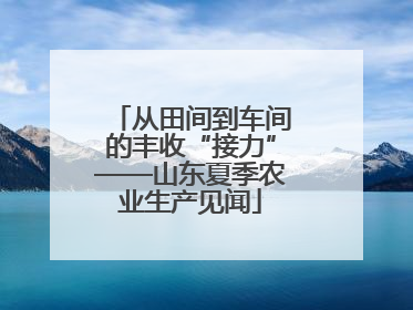 从田间到车间的丰收“接力”——山东夏季农业生产见闻