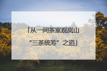 从一间茶室观岚山“三茶统筹”之道