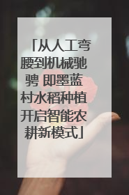 从人工弯腰到机械驰骋 即墨蓝村水稻种植开启智能农耕新模式