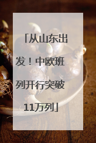 从山东出发！中欧班列开行突破11万列