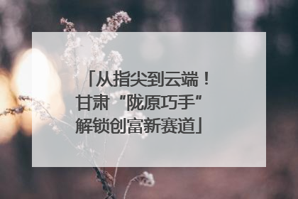 从指尖到云端！甘肃“陇原巧手”解锁创富新赛道