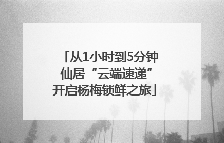 从1小时到5分钟 仙居“云端速递”开启杨梅锁鲜之旅