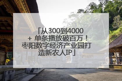 从300到4000+ 单条播放破百万！枣阳数字经济产业园打造新农人IP