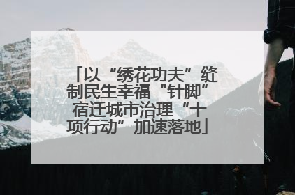 以“绣花功夫”缝制民生幸福“针脚” 宿迁城市治理“十项行动”加速落地