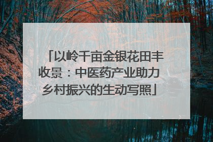 以岭千亩金银花田丰收景：中医药产业助力乡村振兴的生动写照