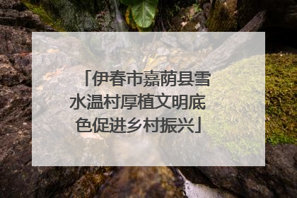 伊春市嘉荫县雪水温村厚植文明底色促进乡村振兴