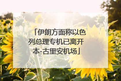 伊朗方面称以色列总理专机已离开本-古里安机场