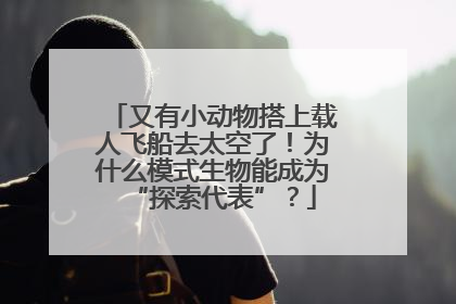 又有小动物搭上载人飞船去太空了！为什么模式生物能成为“探索代表”？