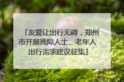 友爱让出行无碍，郑州市开展残障人士、老年人出行需求建议征集