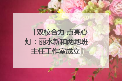 双校合力 点亮心灯：丽水新和两地班主任工作室成立