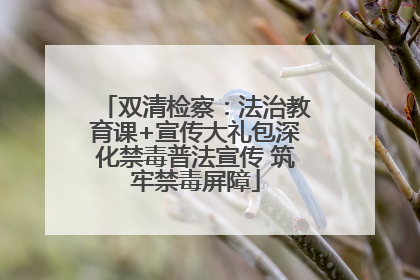 双清检察：法治教育课+宣传大礼包深化禁毒普法宣传 筑牢禁毒屏障
