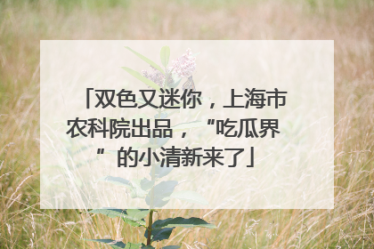 双色又迷你，上海市农科院出品，“吃瓜界”的小清新来了
