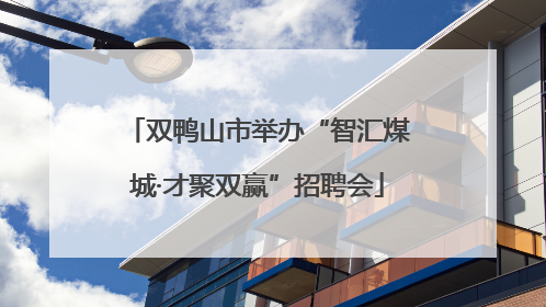双鸭山市举办“智汇煤城·才聚双赢”招聘会