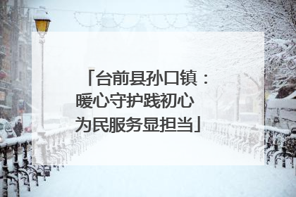 台前县孙口镇：暖心守护践初心 为民服务显担当