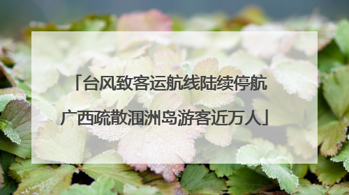 台风致客运航线陆续停航 广西疏散涠洲岛游客近万人