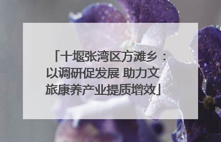 十堰张湾区方滩乡：以调研促发展 助力文旅康养产业提质增效
