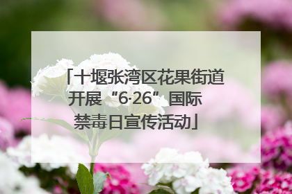 十堰张湾区花果街道开展“6·26”国际禁毒日宣传活动