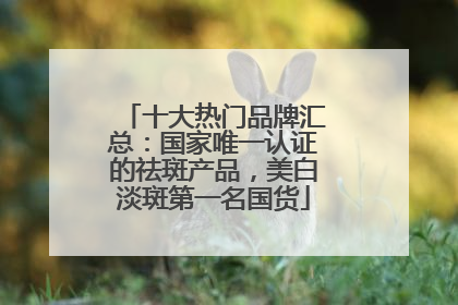 十大热门品牌汇总：国家唯一认证的祛斑产品，美白淡斑第一名国货