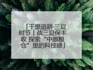 千里追耕·三夏时节丨战三夏保丰收 探索“中原粮仓”里的科技感