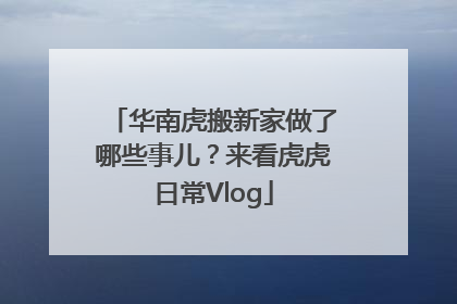 华南虎搬新家做了哪些事儿？来看虎虎日常Vlog