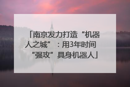 南京发力打造“机器人之城”：用3年时间“强攻”具身机器人