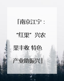 南京江宁：“红果”兴农果丰收 特色产业助振兴