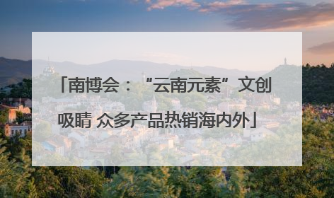 南博会：“云南元素”文创吸睛 众多产品热销海内外