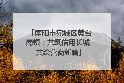 南阳市宛城区黄台岗镇：共筑信用长城 共绘营商新篇