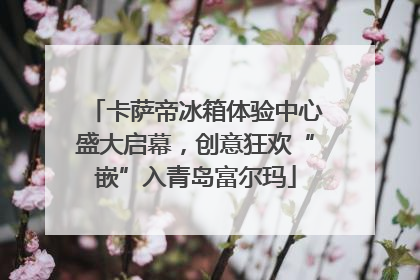 卡萨帝冰箱体验中心盛大启幕，创意狂欢“嵌”入青岛富尔玛