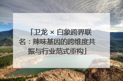 卫龙 × 白象跨界联名：辣味基因的跨维度共振与行业范式重构