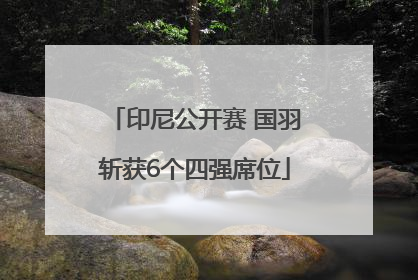 印尼公开赛 国羽斩获6个四强席位