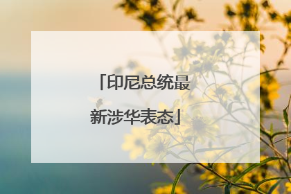印尼总统最新涉华表态