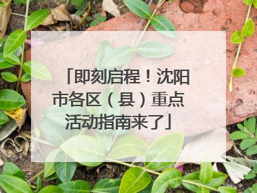 即刻启程！沈阳市各区（县）重点活动指南来了