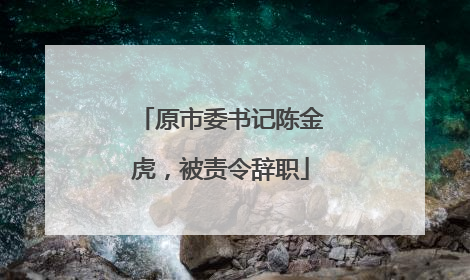 原市委书记陈金虎，被责令辞职