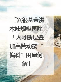 兴银基金洪木妹规模再降！人才断层叠加高管动荡“偏科”困局何解