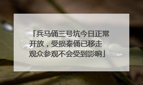 兵马俑三号坑今日正常开放，受损秦俑已移走 观众参观不会受到影响