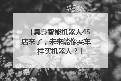 具身智能机器人4S店来了，未来能像买车一样买机器人？