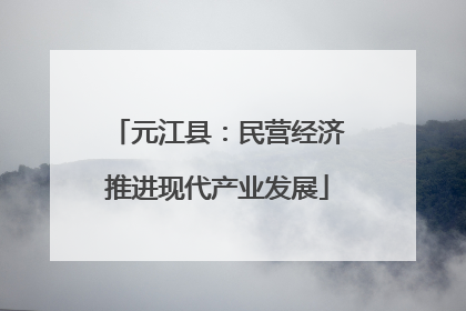 元江县：民营经济推进现代产业发展