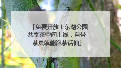 免费开放！东湖公园共享茶空间上线，自带茶具就能泡茶话仙