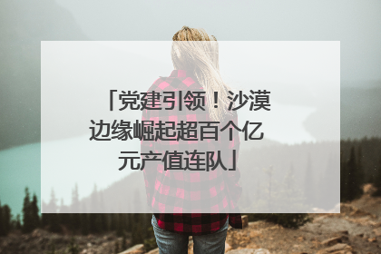 党建引领！沙漠边缘崛起超百个亿元产值连队
