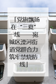 党旗飘扬在“三夏”一线——宛城区溧河街道党群合力筑牢禁烧防线