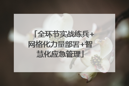 全环节实战练兵+网格化力量部署+智慧化应急管理