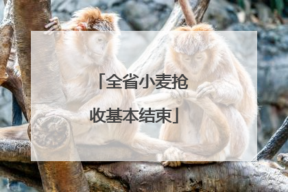 全省小麦抢收基本结束