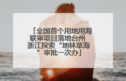 全国首个用地用海联审项目落地台州 浙江探索“地林草海”审批一次办