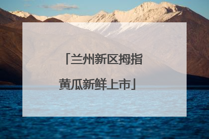 兰州新区拇指黄瓜新鲜上市